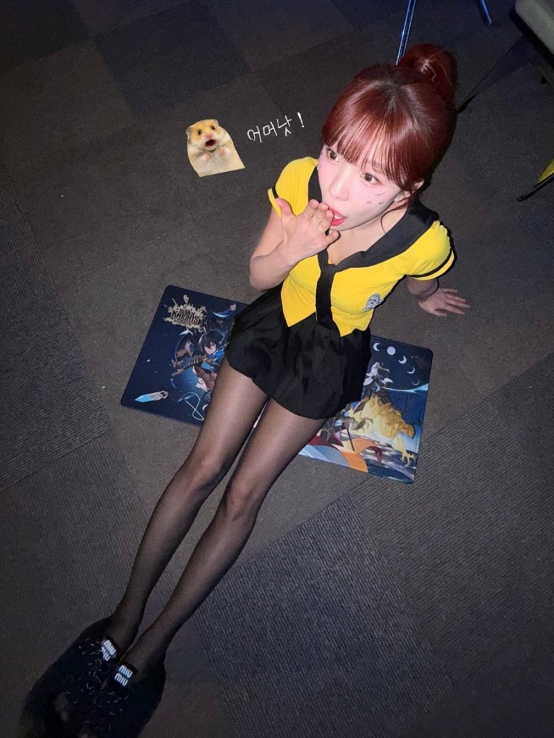 파워볼게임픽분석