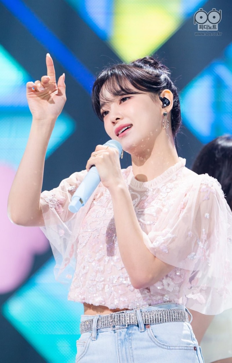 다리다리 분석과 실시간패턴통계