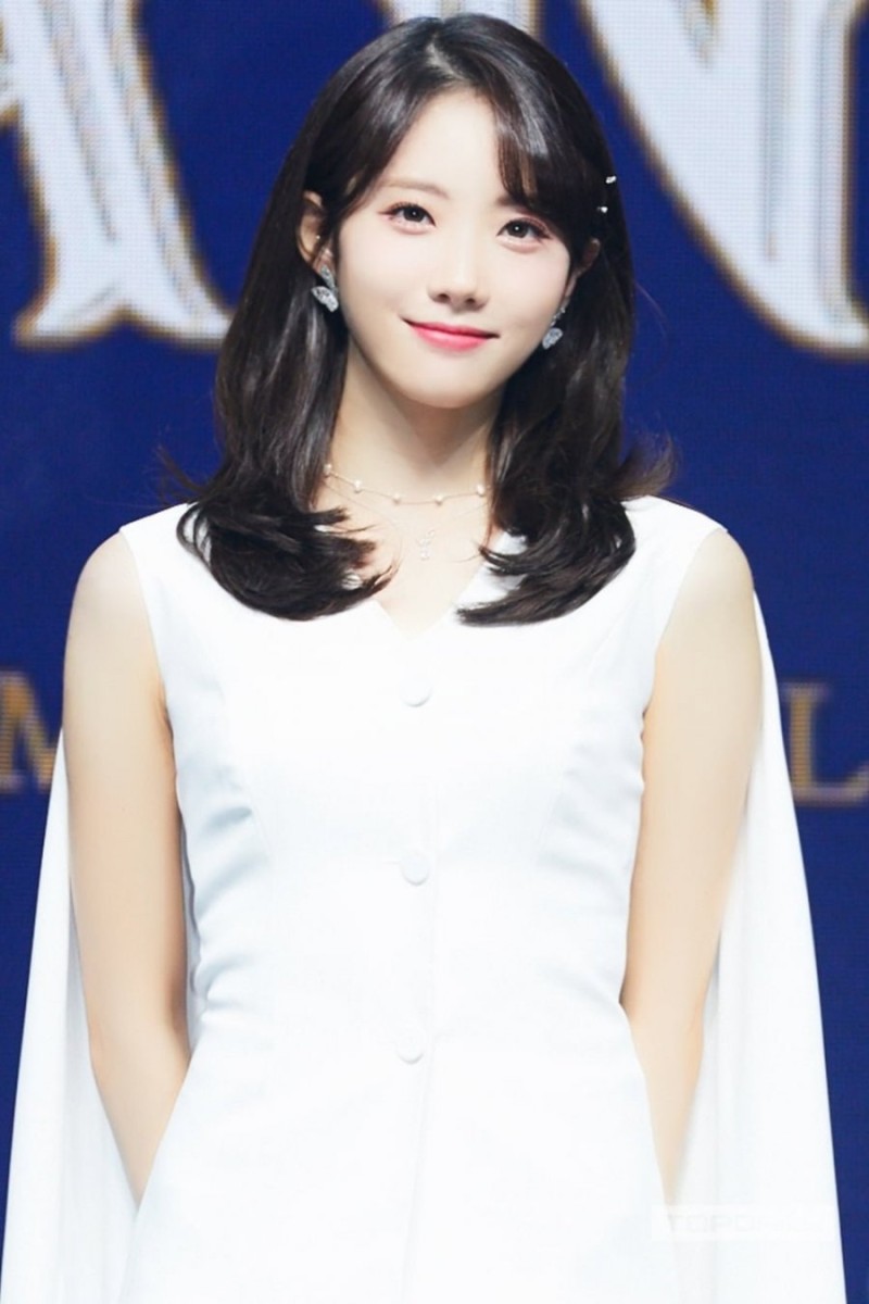 나눔로또 파워볼분석기