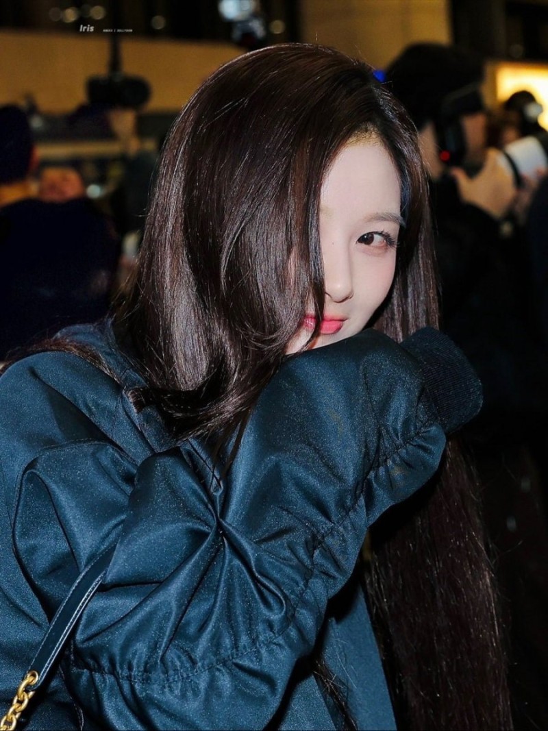 실시간다리다리