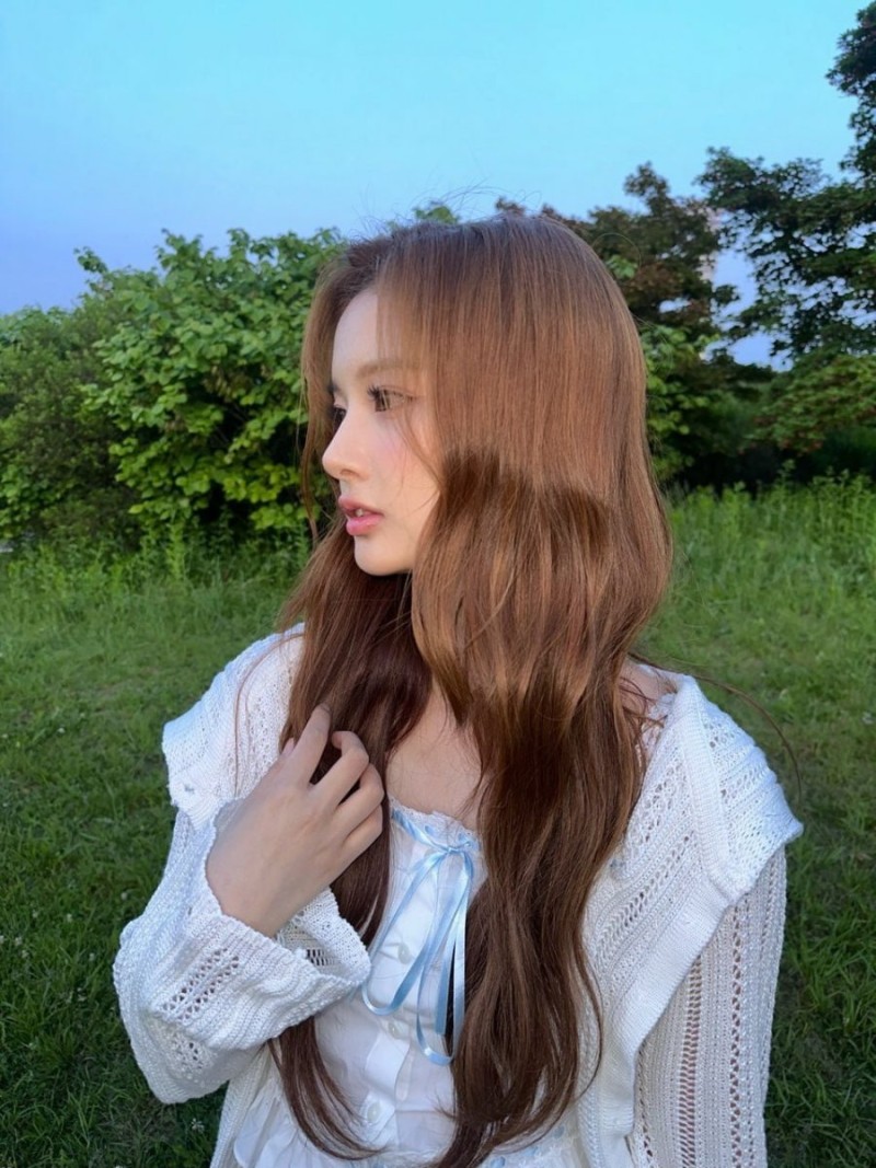 다리다리 분석과 실시간패턴통계