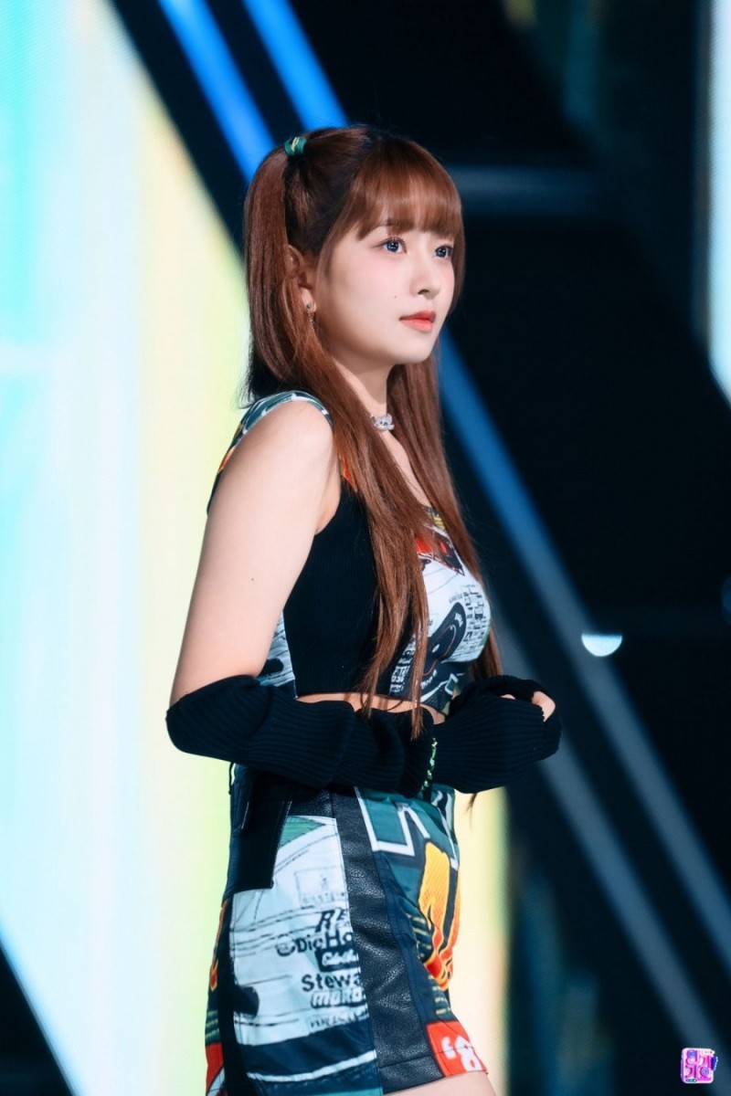 나눔로또 파워볼분석기