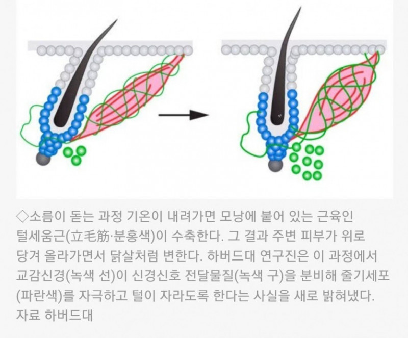 파워볼 분석과 실시간패턴통계