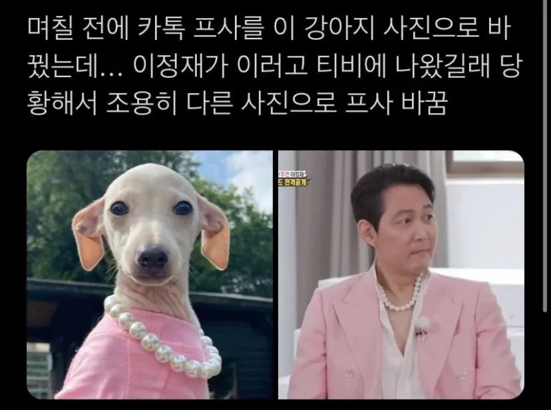 파워볼게임픽분석