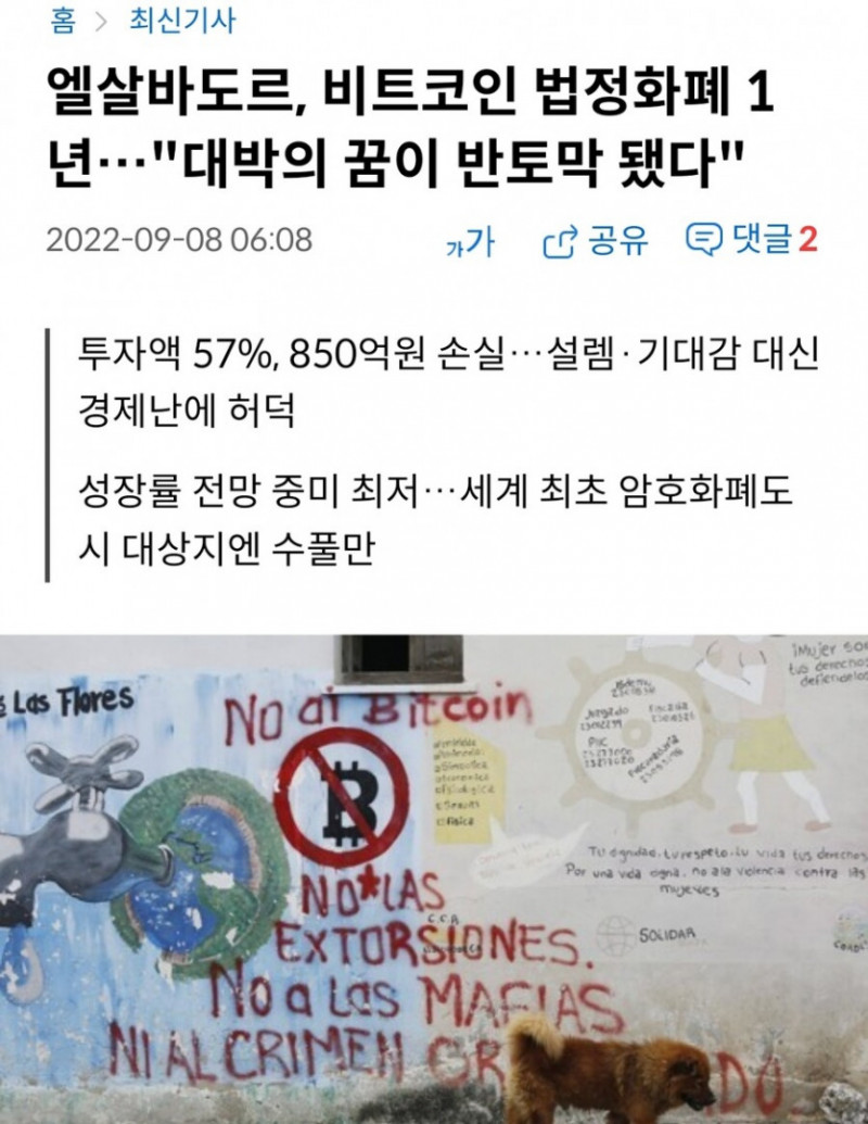 달팽이게임분석기