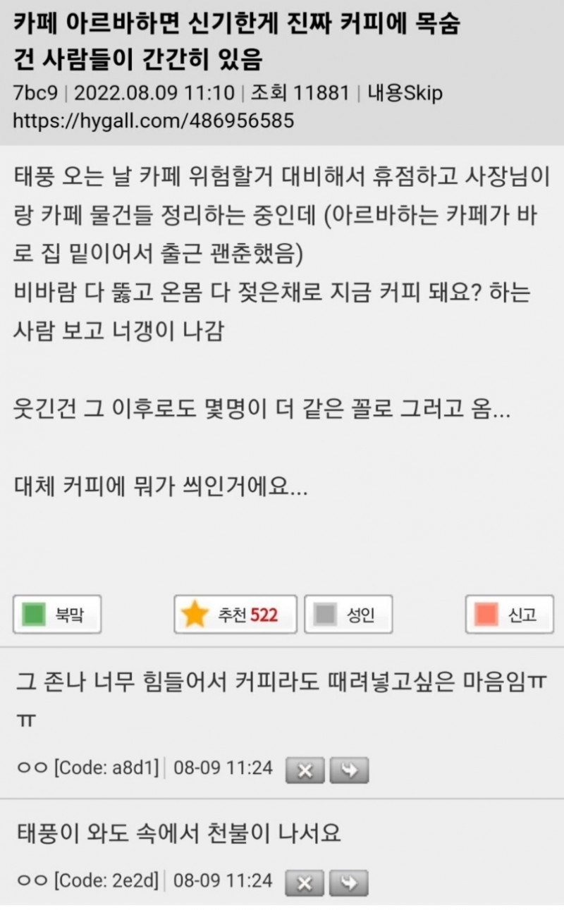 나눔로또 파워볼분석기