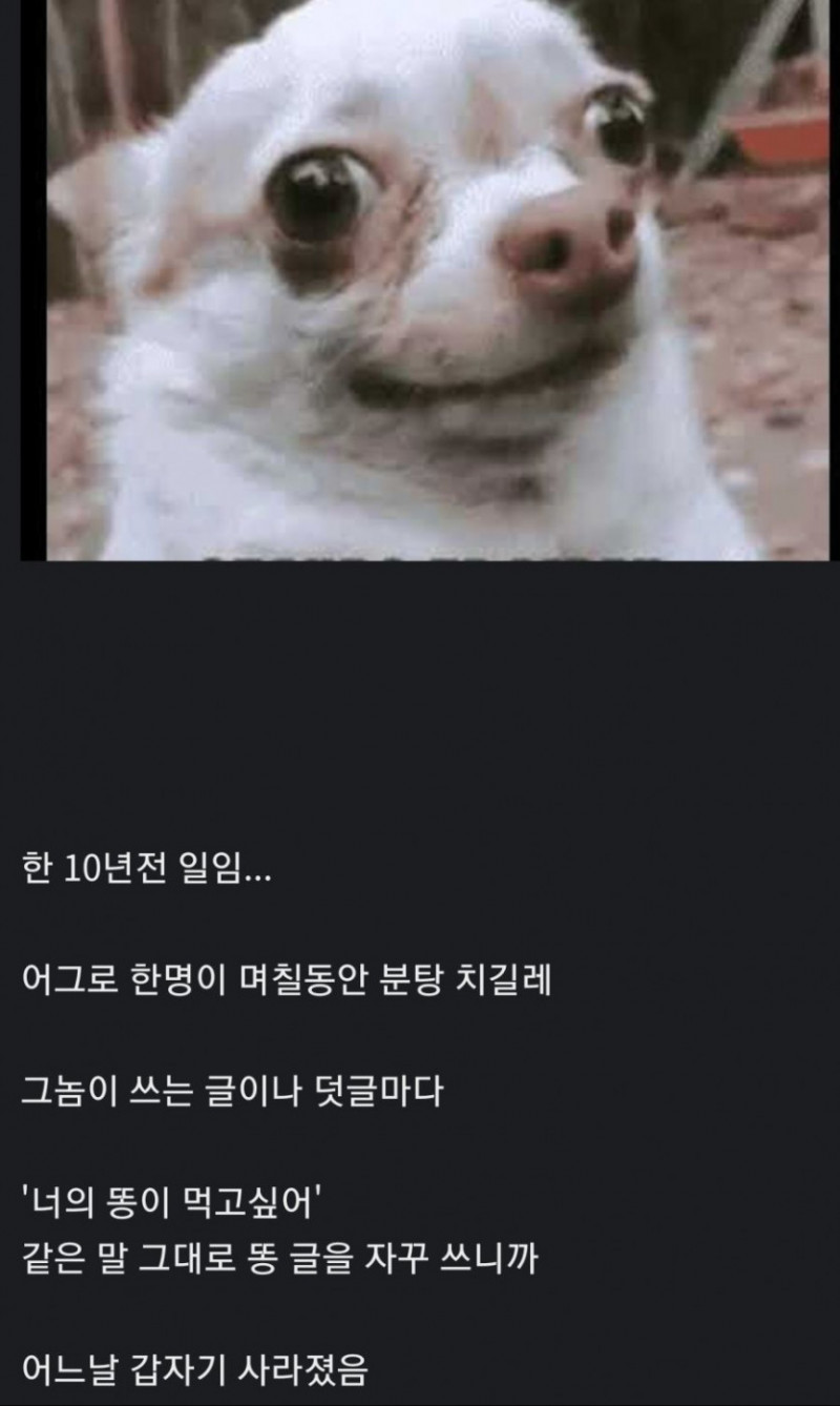 사다리게임분석기