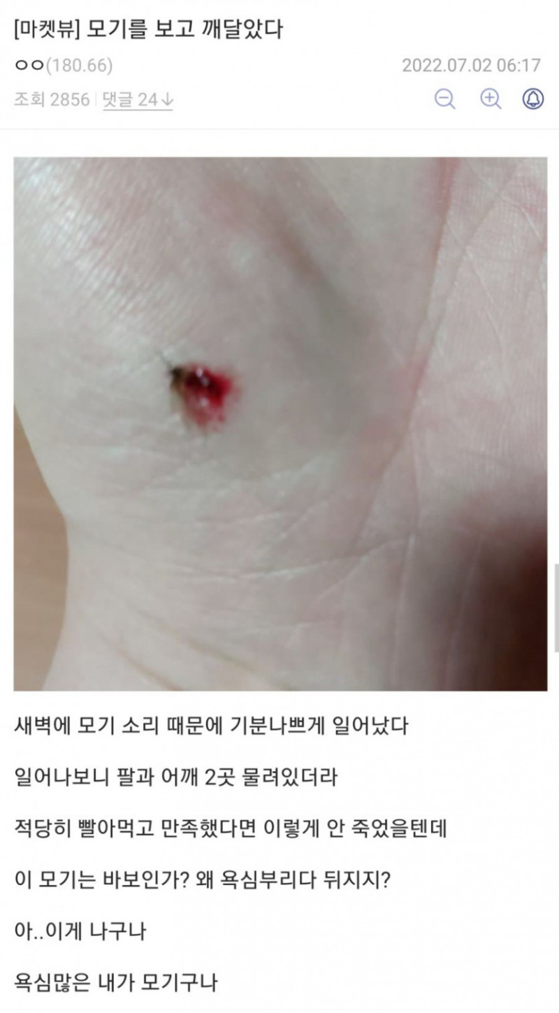 달팽이게임픽분석