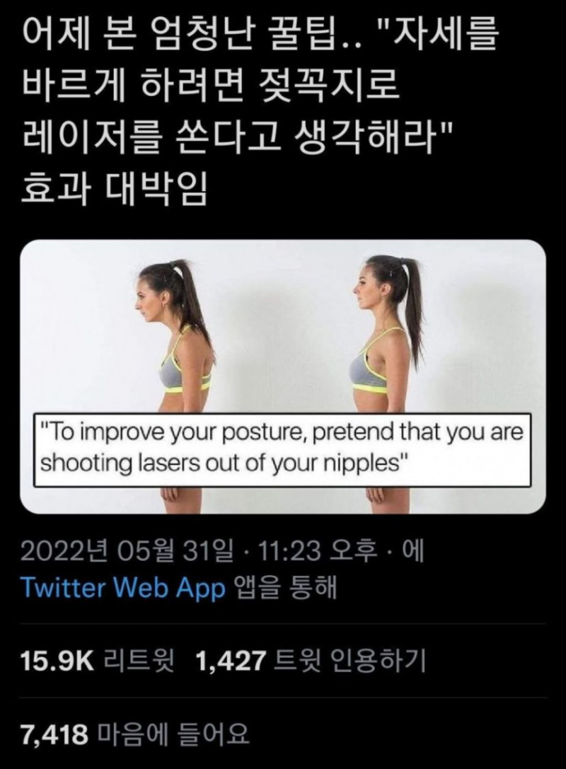 사다리게임분석