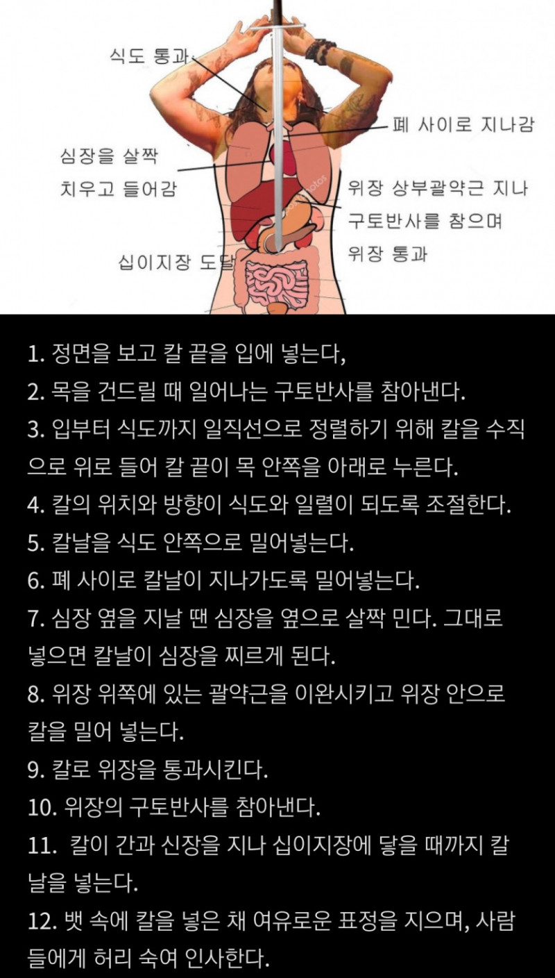 달팽이게임픽분석