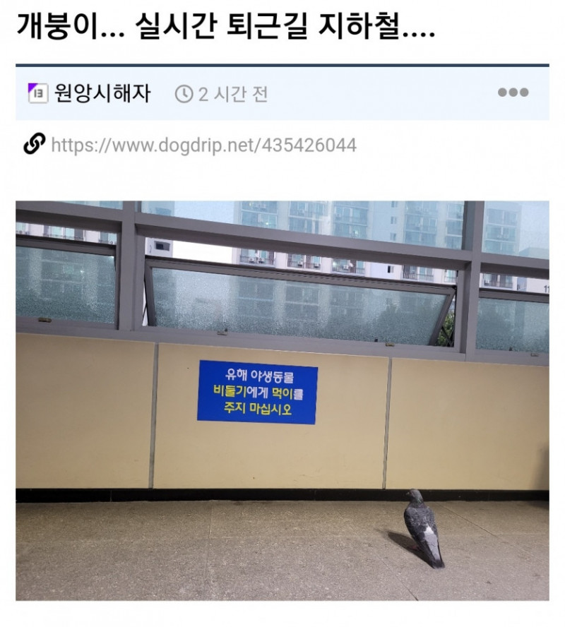 실시간달팽이