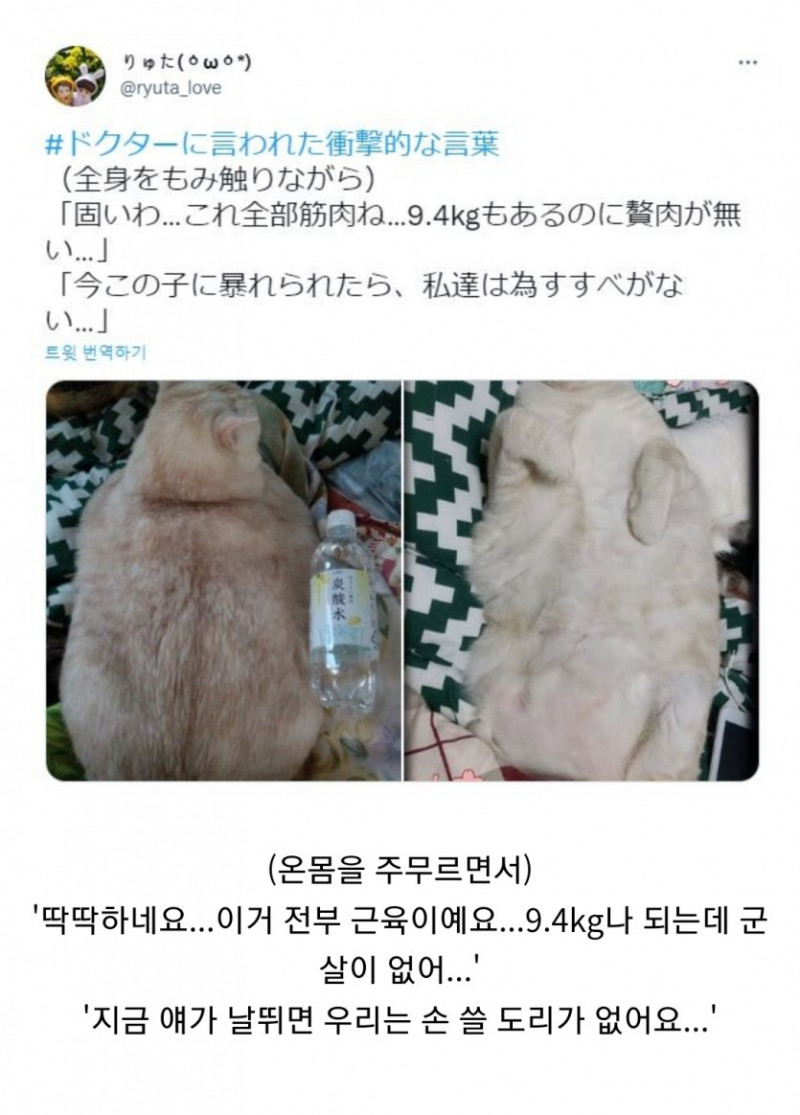 달팽이게임픽게임