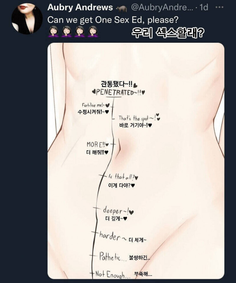 사다리게임분석