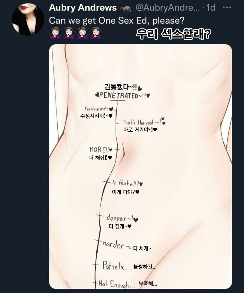 파워볼 분석과 실시간패턴통계