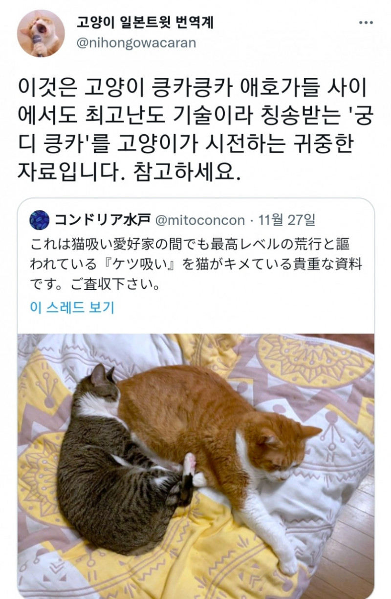 달팽이게임분석