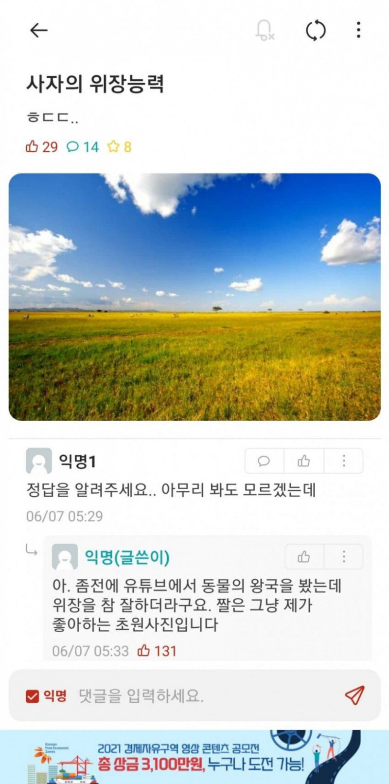 달팽이게임통계