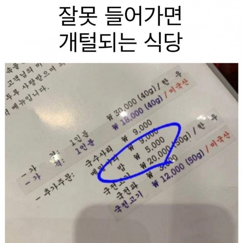 달팽이게임분석