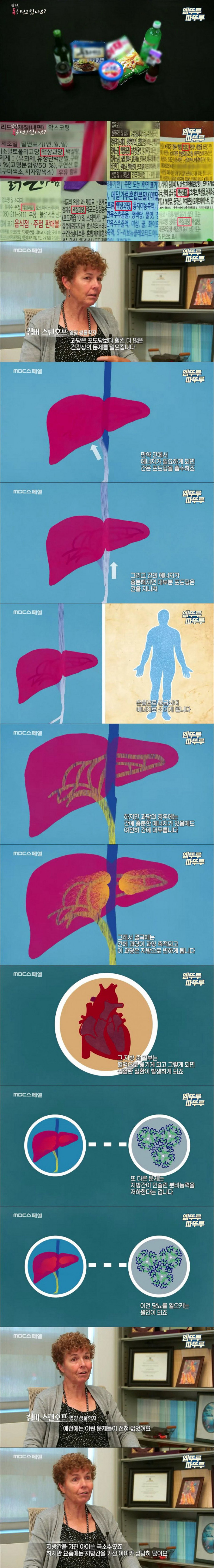 사다리 분석과 실시간패턴통계