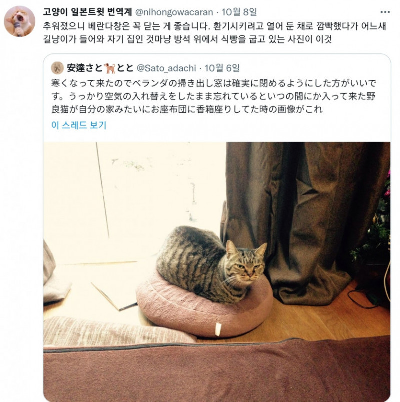 달팽이필승