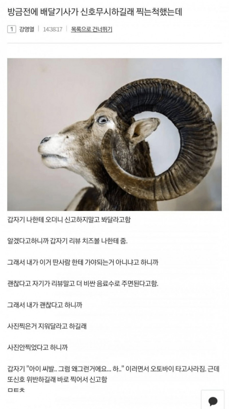 성인게임