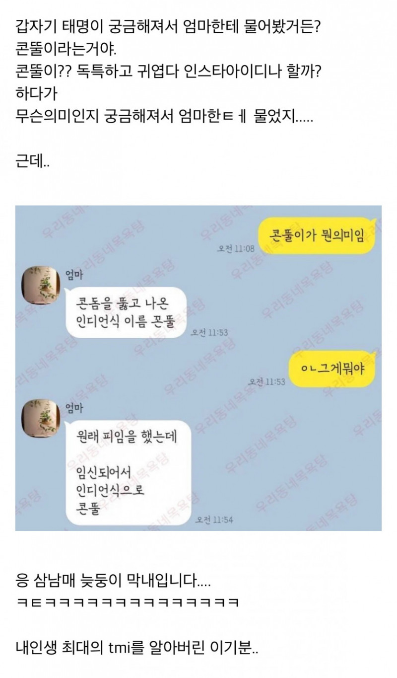 사다리게임픽