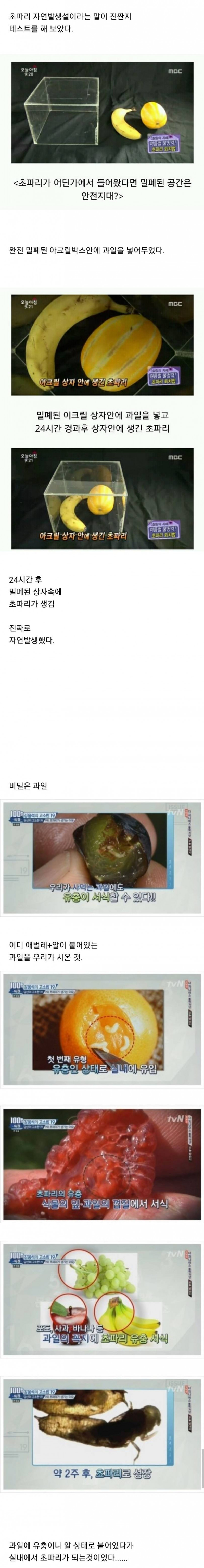 사다리게임픽분석