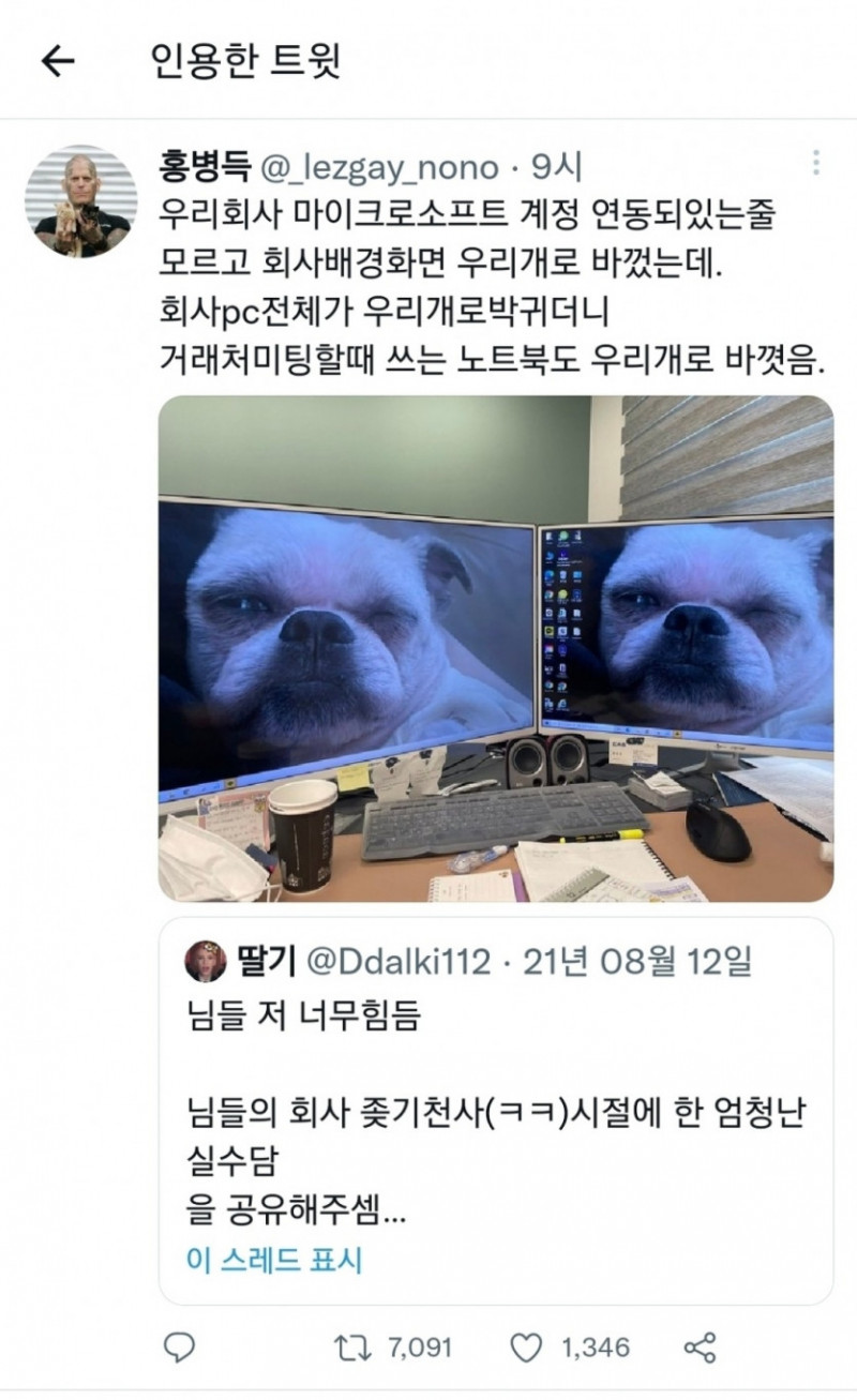 실시간게임