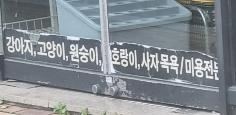 파워볼게임