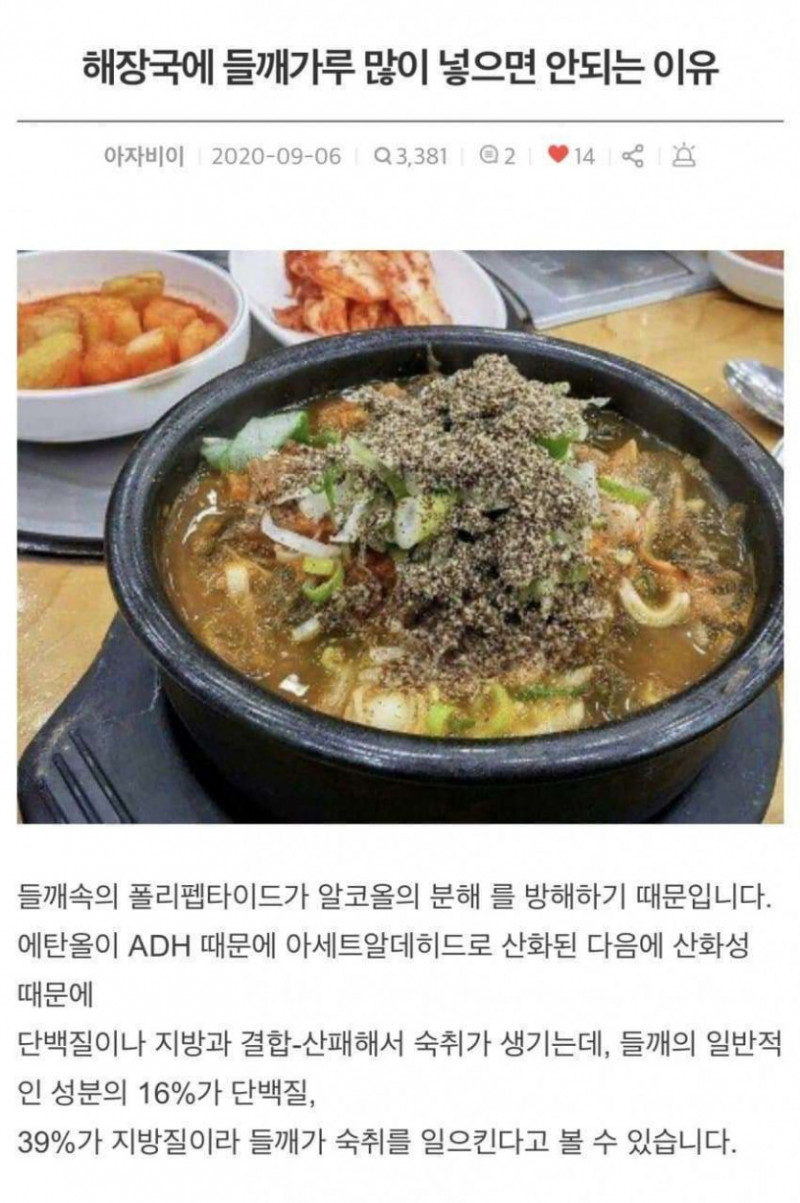 달팽이게임분석