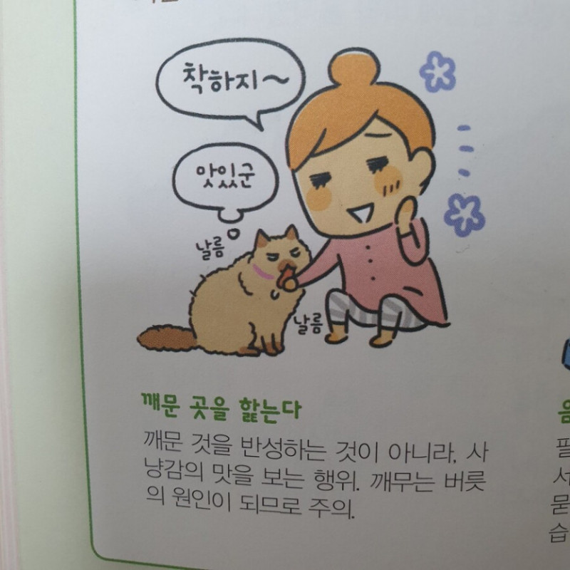 파워볼게임분석