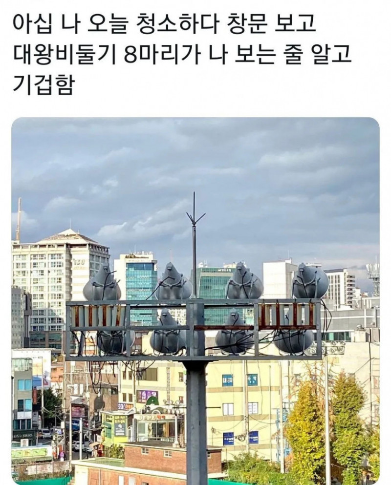 성인게임