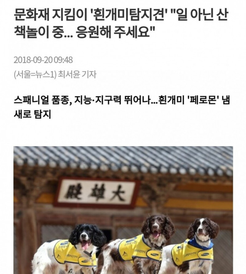 달팽이게임통계