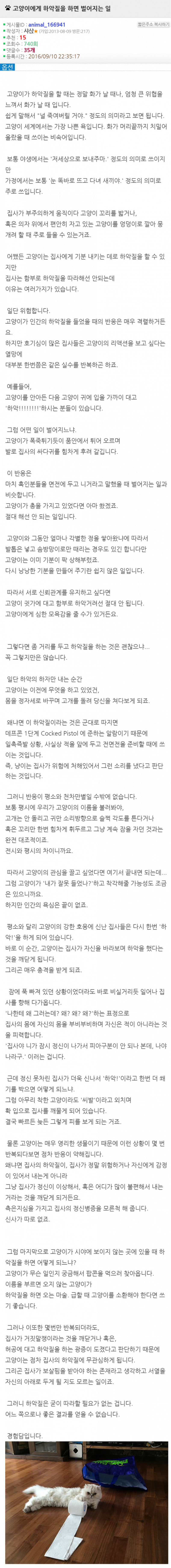 나눔로또 파워볼분석기