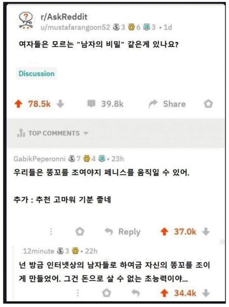 나눔로또 파워볼분석기