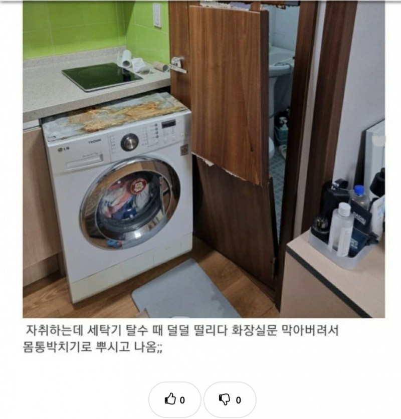 실시간다리다리