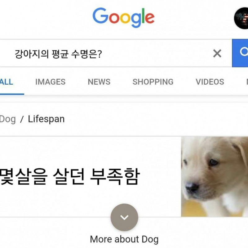 파워볼게임분석기