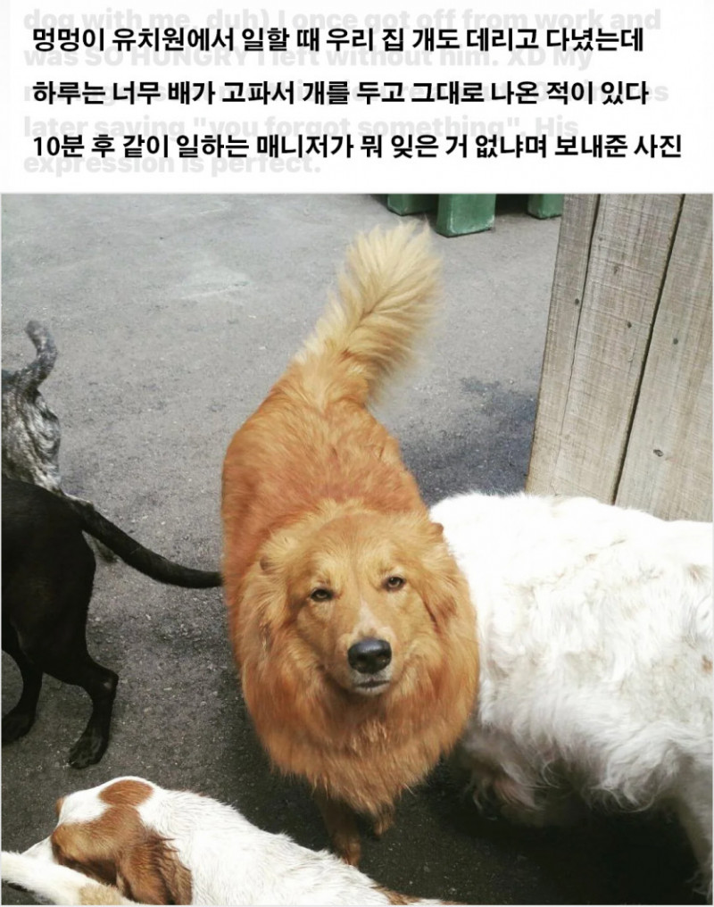 나눔로또 파워볼분석기