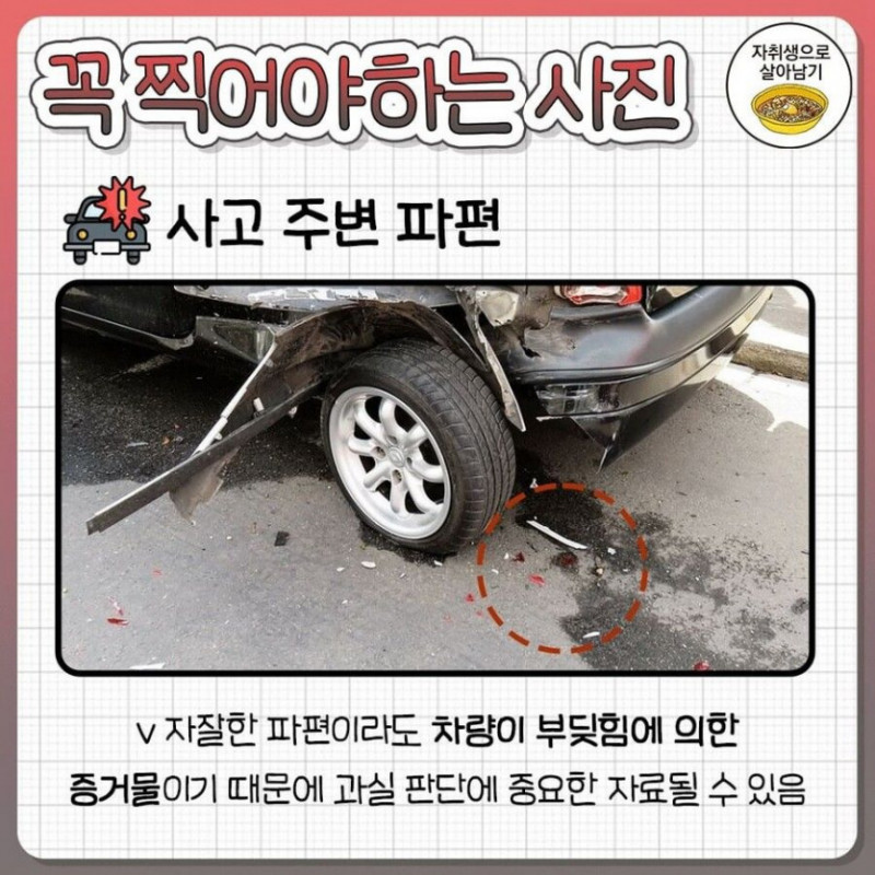 파워볼게임분석