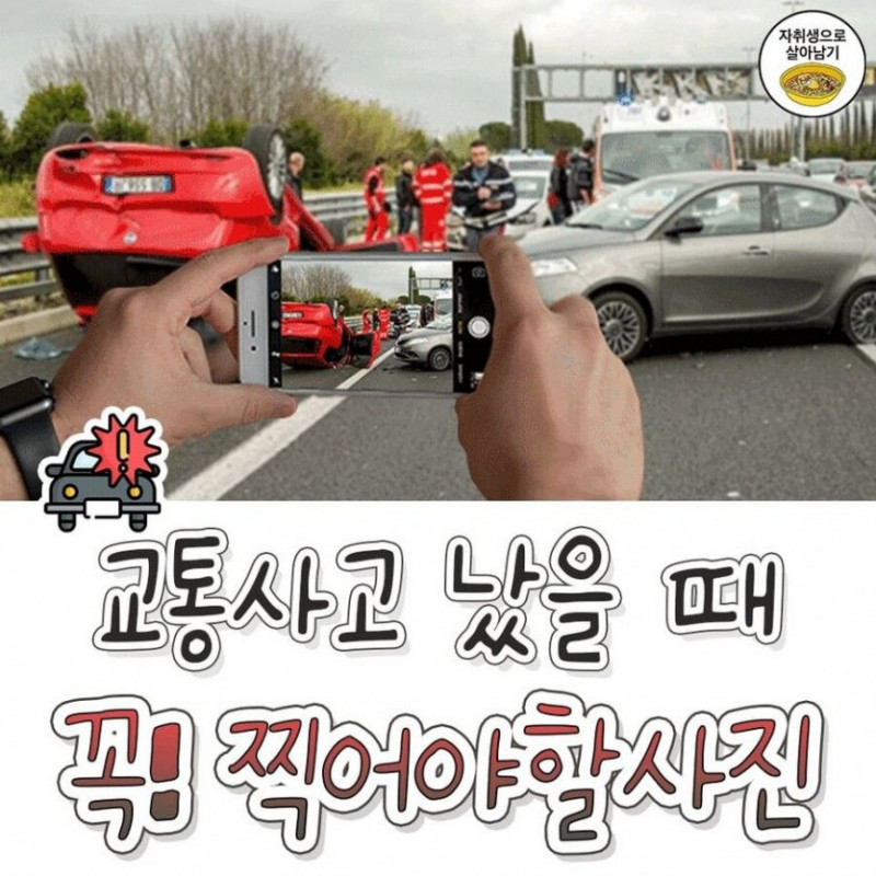 사다리게임픽게임
