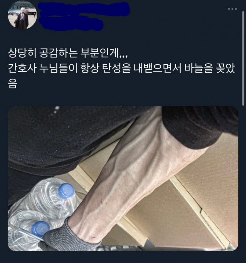 달팽이게임픽분석