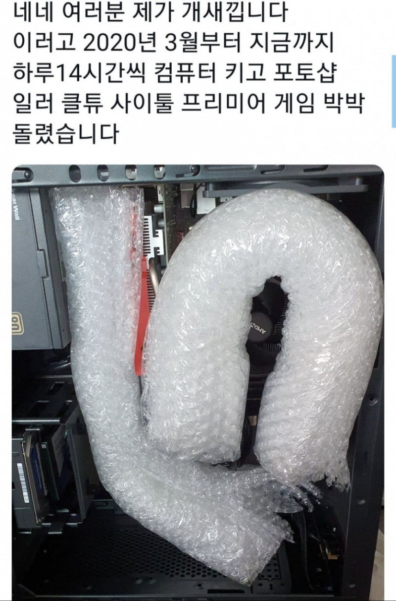 다리다리게임픽분석