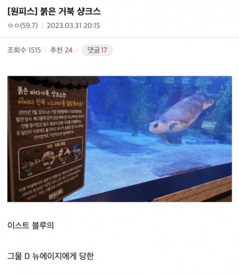 실시간달팽이