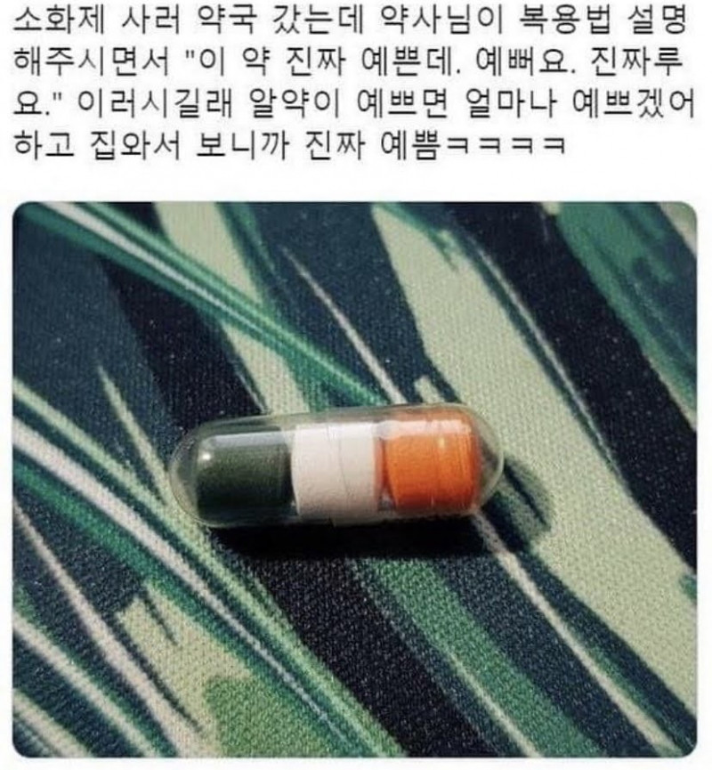 사다리게임