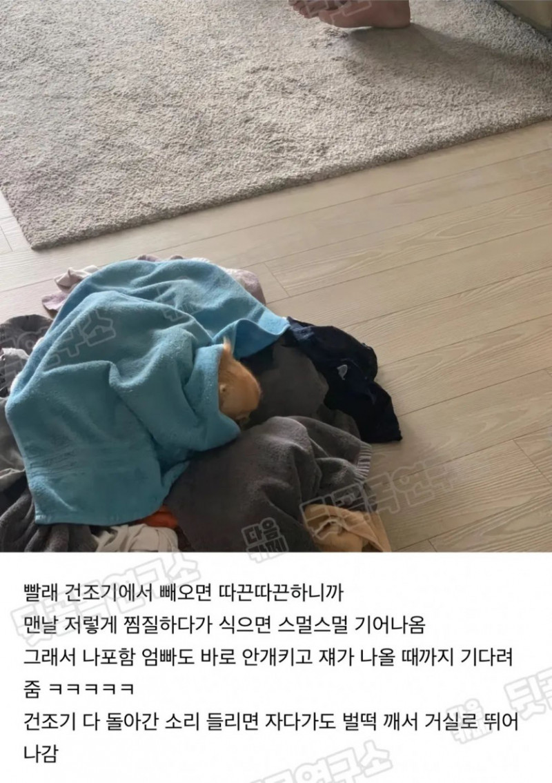 파워볼게임통계