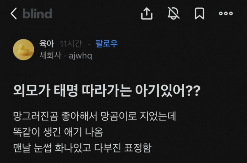 파워볼 분석과 실시간패턴통계