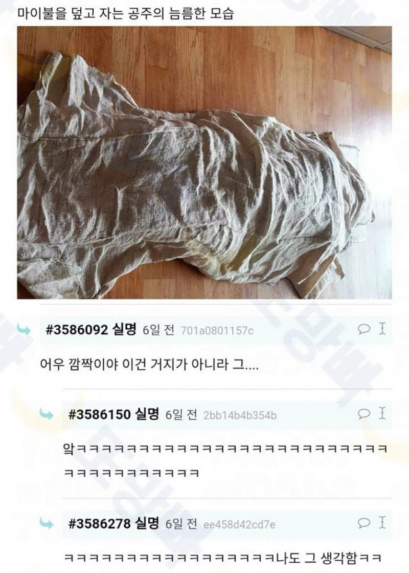 파워볼게임픽분석