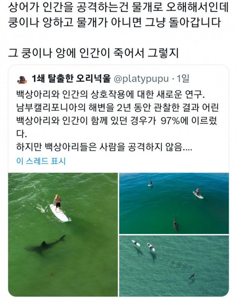 달팽이게임픽분석