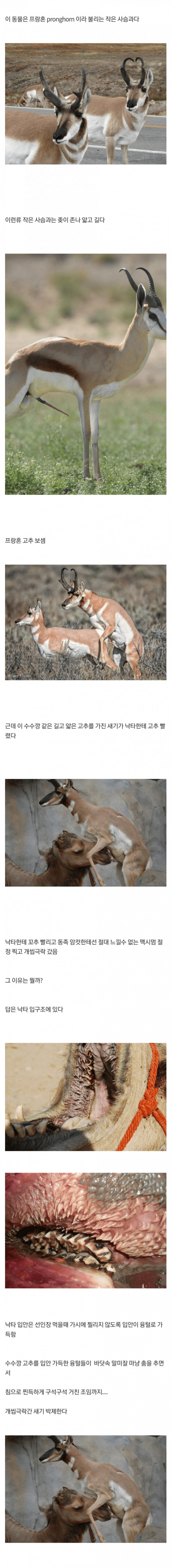 실시간달팽이