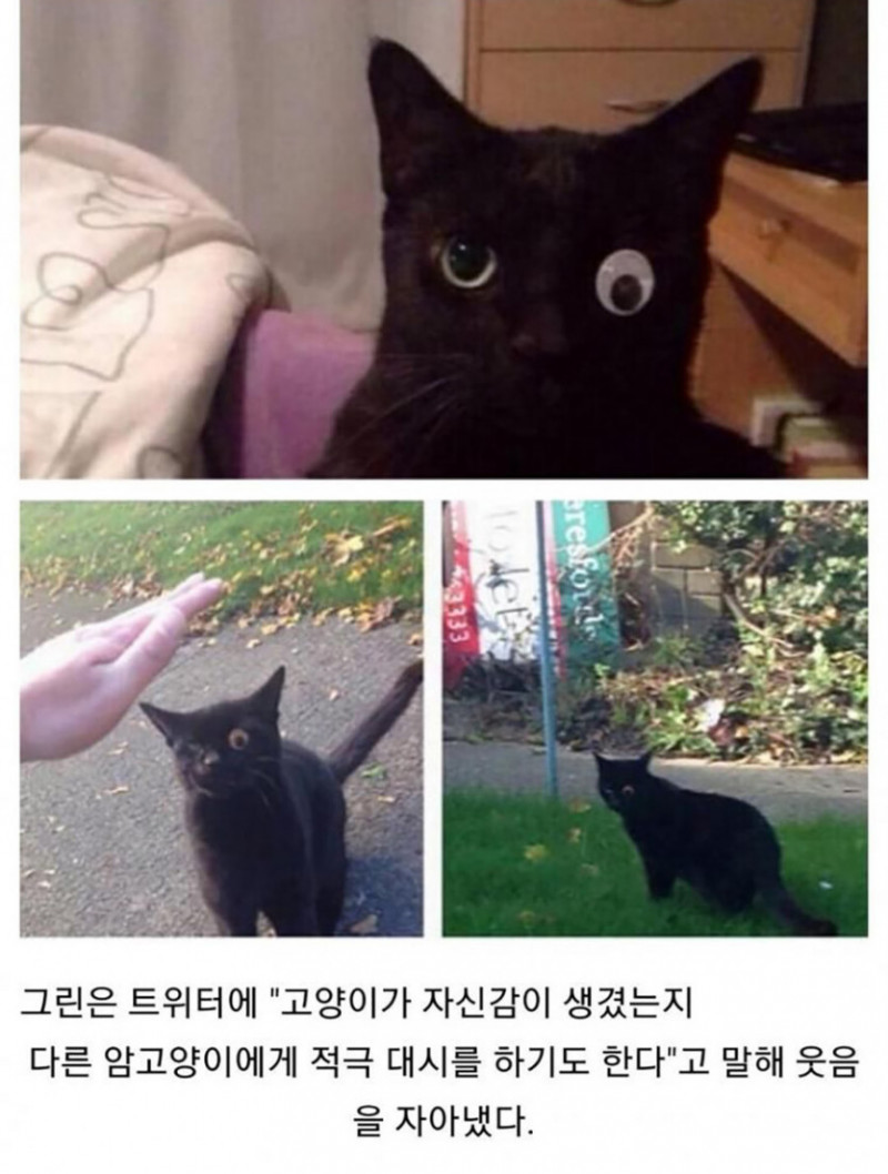 실시간게임