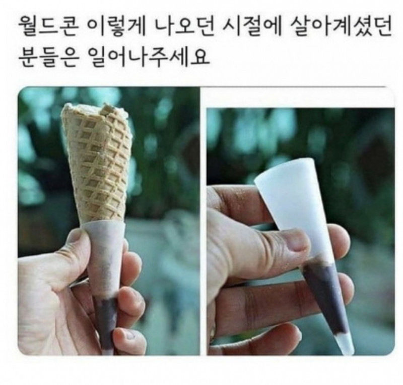 파워볼게임통계